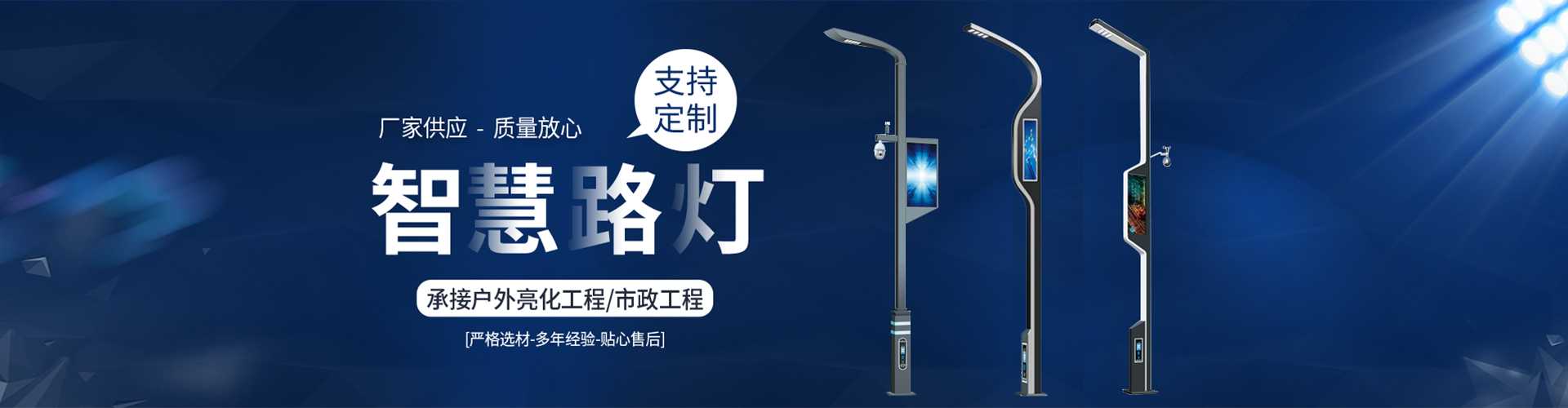广安区太阳能路灯定制厂家