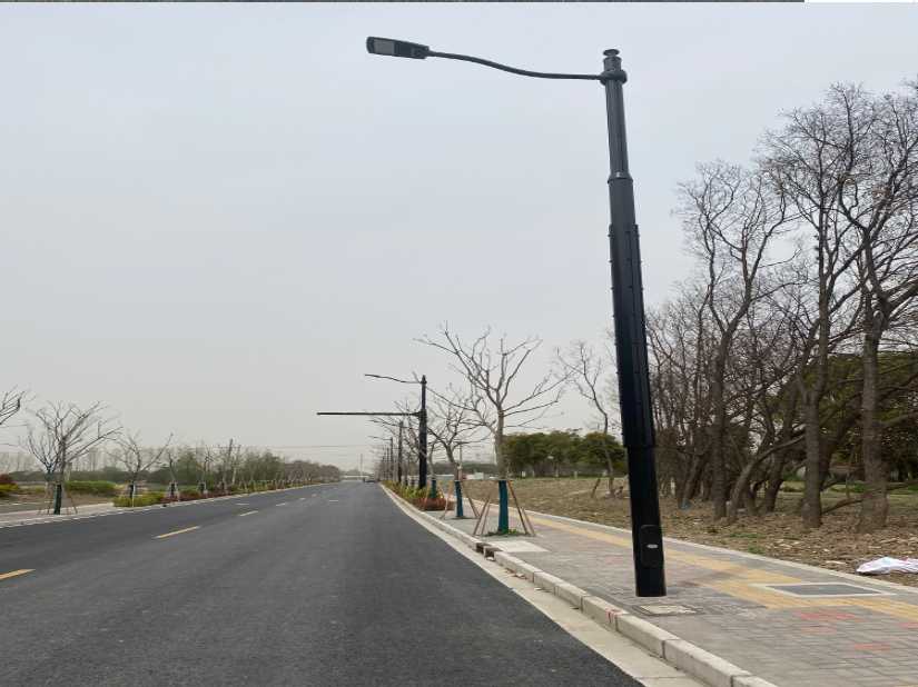 广安区上海综合杆 太阳能路灯工程